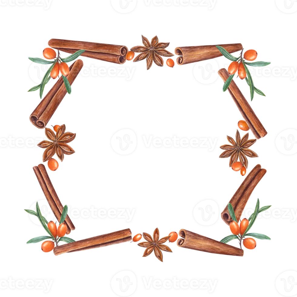 Watercolor frame of cinnamons, star anise, sea buckthorn. Christmas and New Year illustration of orange berries and brown spices for greetings, cards, package, spice shop. png