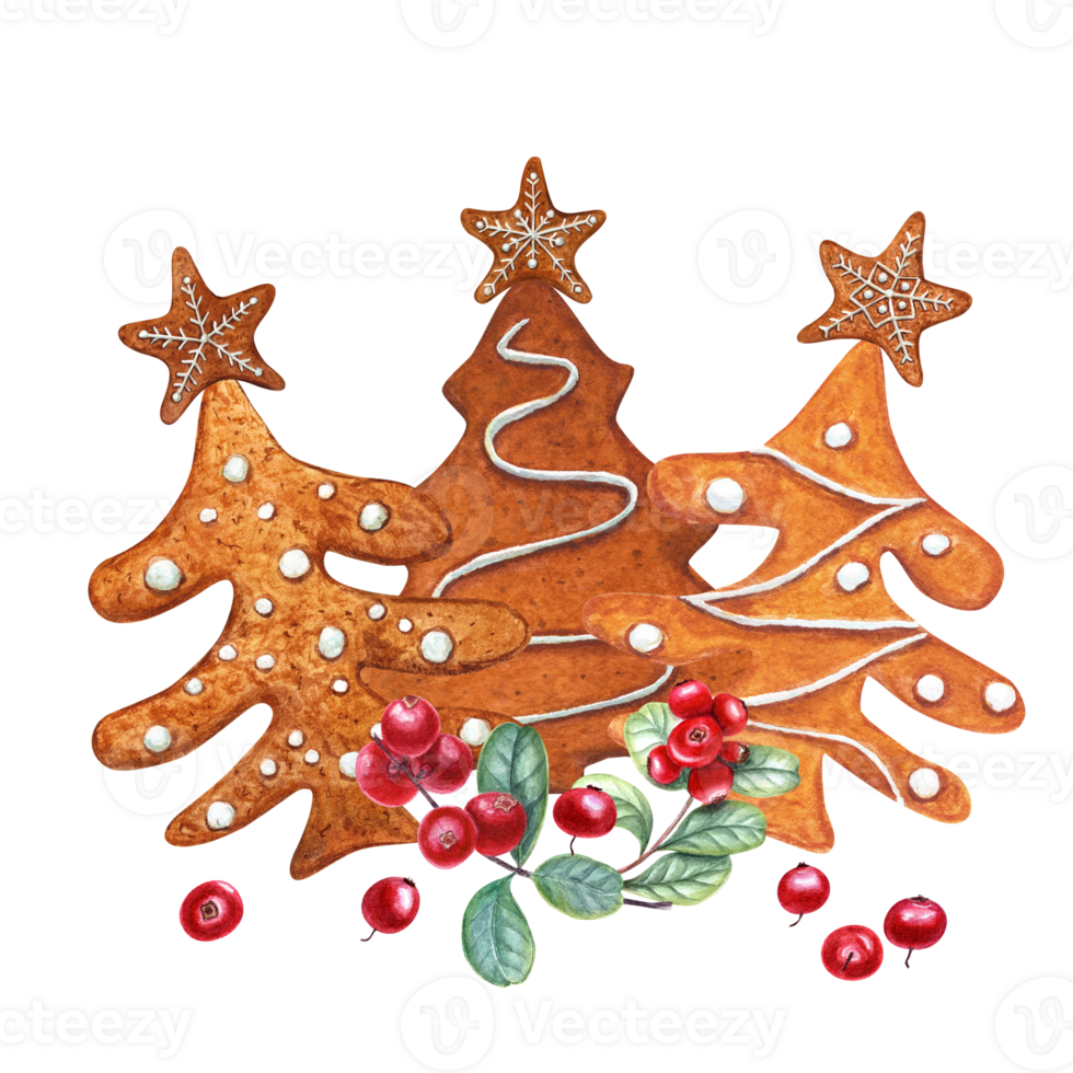 Set of watercolor Christmas gingerbread spruces decorated with white icing and red cowberries. Traditional pastries for Christmas and New Year cards, greetings, templates png