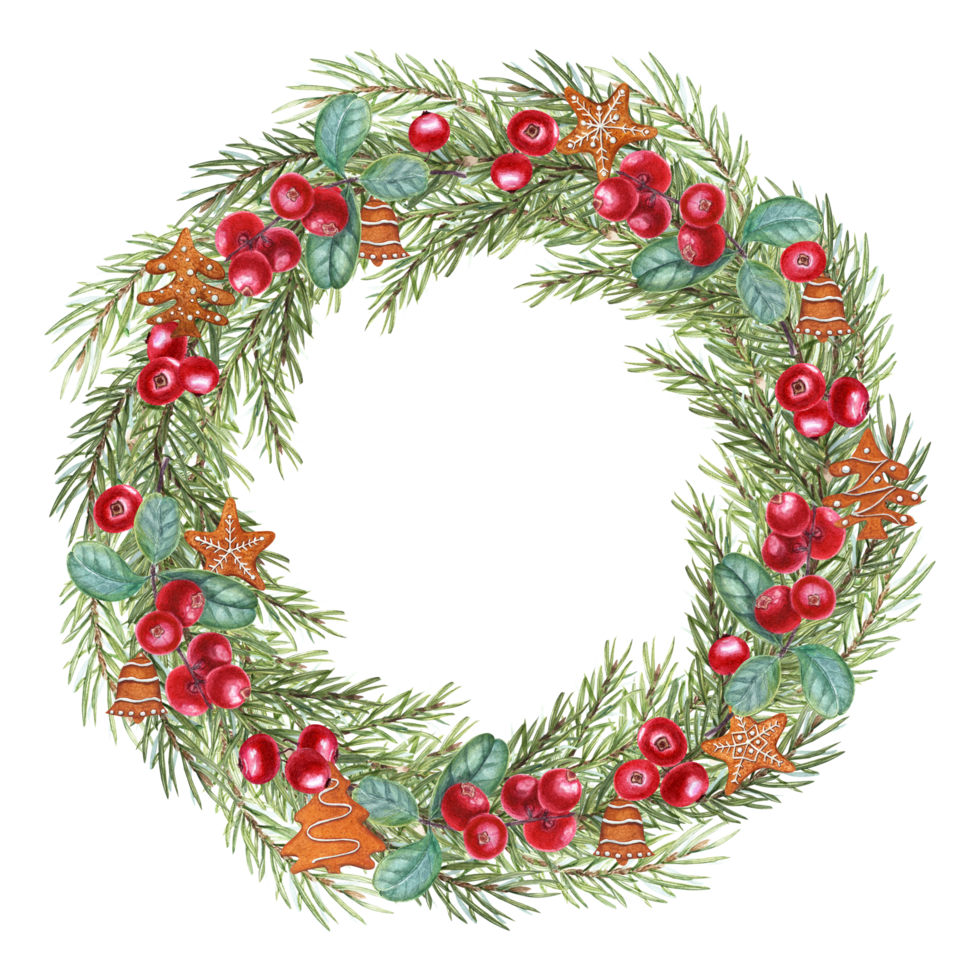 Winter wreath of Spruce Branch, Gingerbread Cookies, Cranberry isolated on white background. Watercolor illustration for greetings, Christmas and New Year cards. Copy space for text png