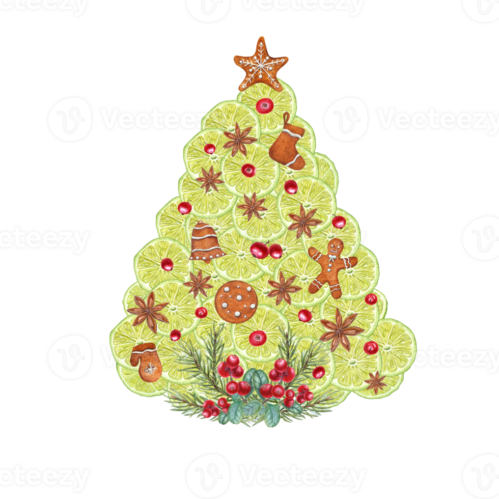 Lima círculos, Estrela anis, Natal biscoitos e morangos guardada dentro a forma do Natal árvore. aguarela ilustração para Natal e Novo ano cartões Projeto png
