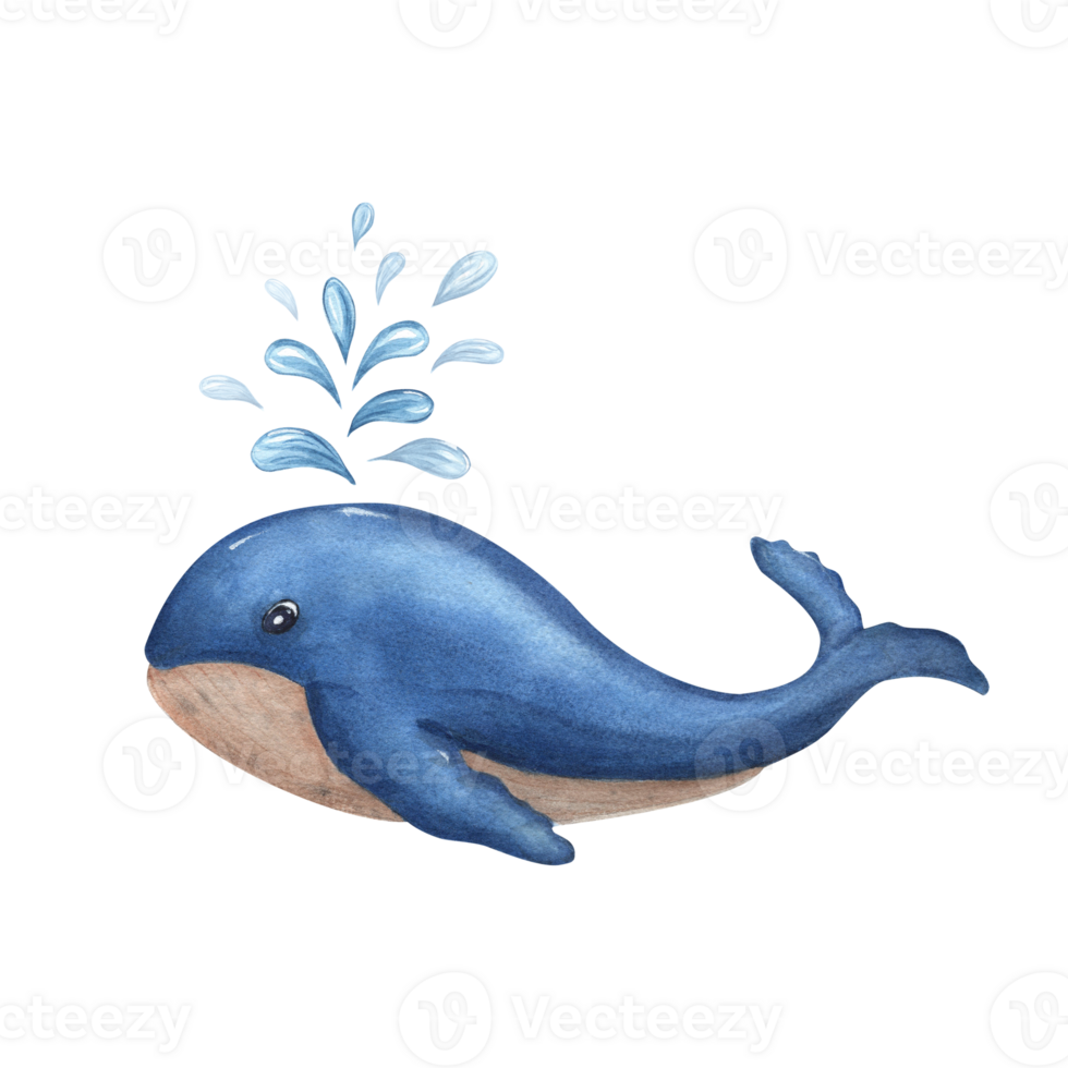 schattig tekenfilm waterverf blauw walvis. zee illustratie kan worden gebruikt voor kinderen kamer decor, kinderen afdrukken, poster, patroon, stickers, behang, omhulsel png