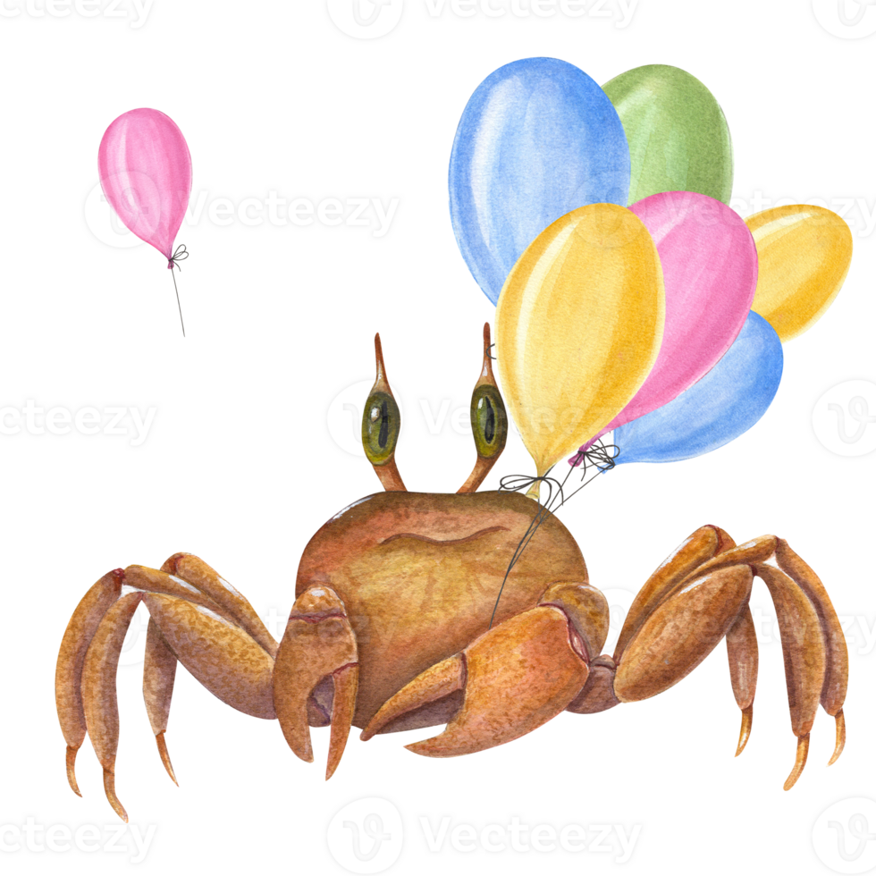 Watercolor illustration with crab and colored balloons. For wallpaper, print, baby textile, nursery, scrapbooking, banner design, postcards, clothing. Cartoon style. png