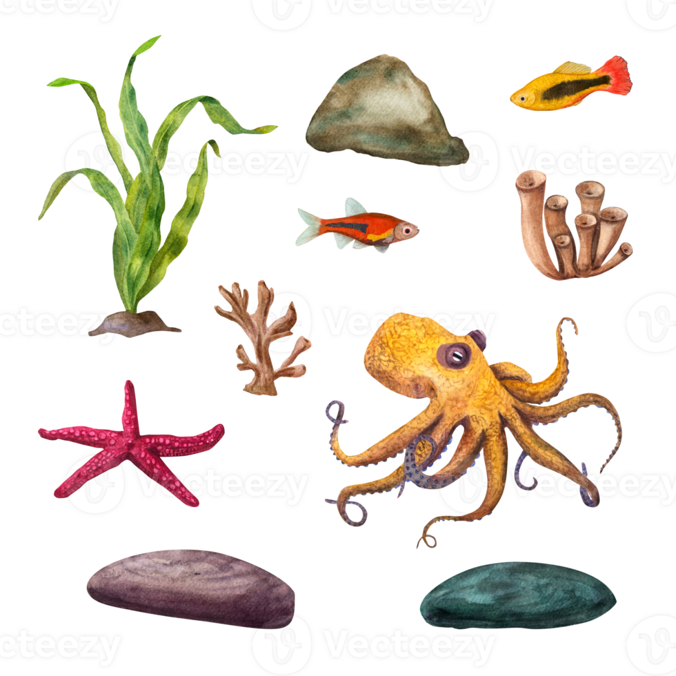Set of sea dwellers. Marine green algae, octopus, sea star, corals, fish, underwater rocks. Composition. Watercolor illustration for design, cards, souvenirs png