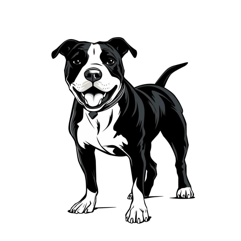 negro y blanco pitbull ilustración clipart diseño en blanco antecedentes vector