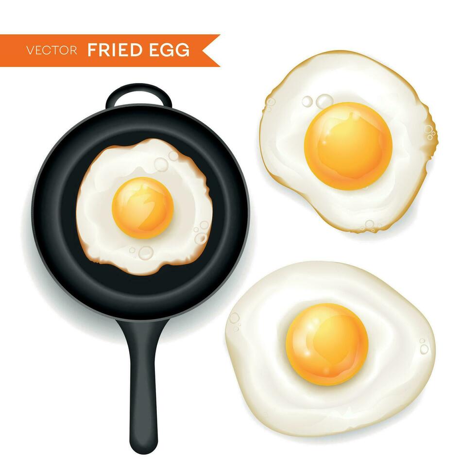 conjunto de huevos fritos vector