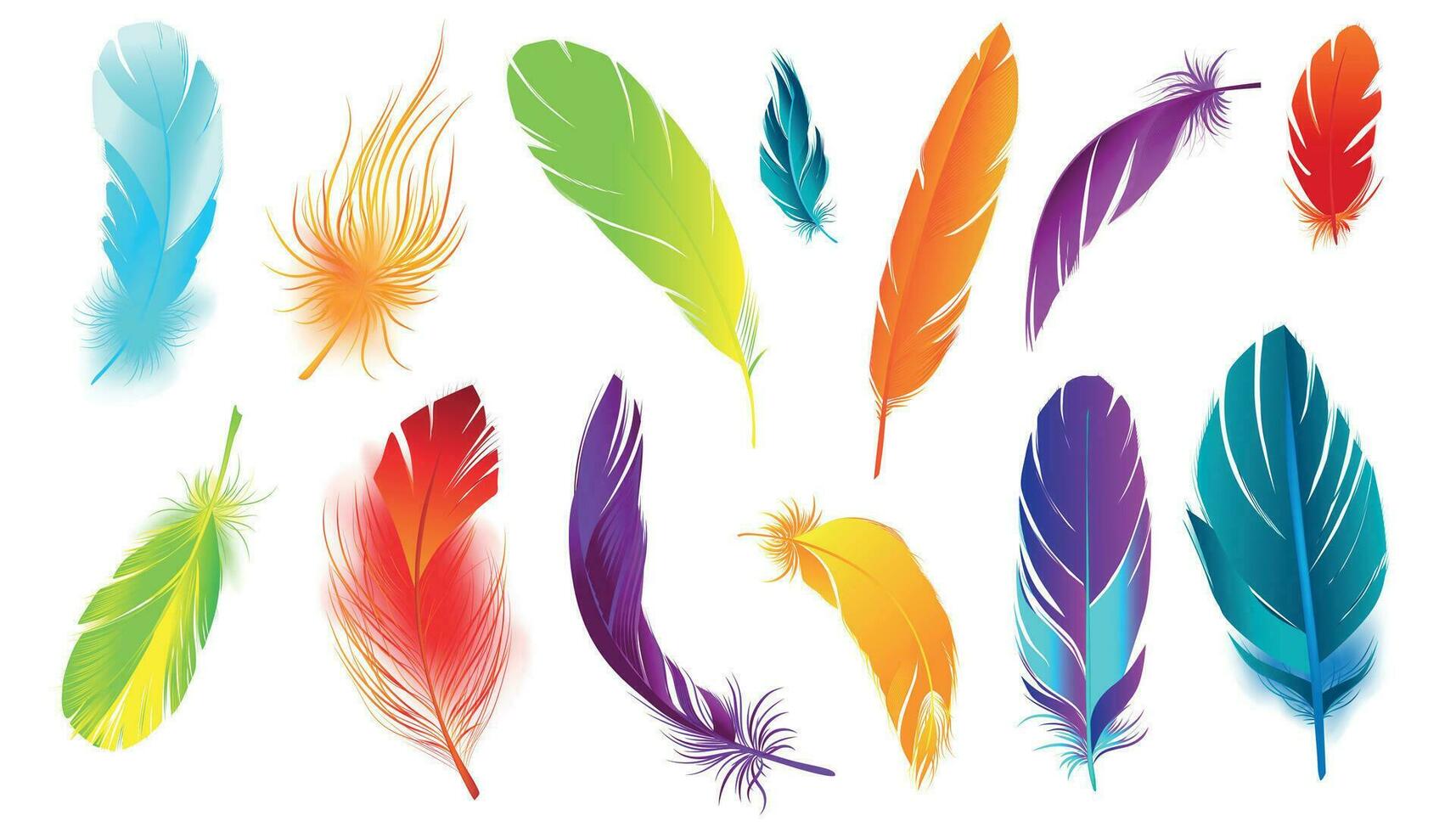 Colored Feathers Realistic Set vector