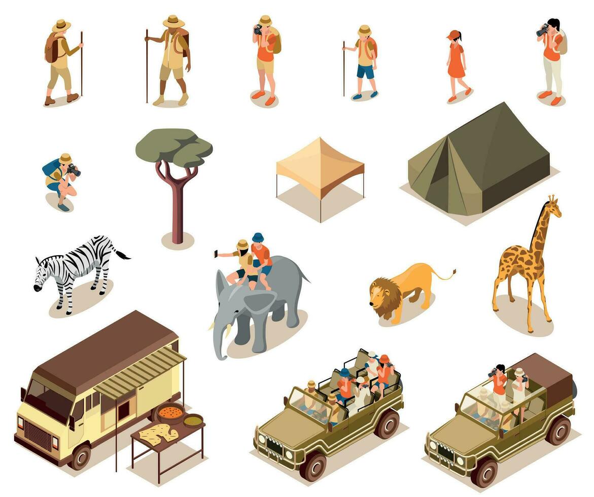 safari turista conjunto vector