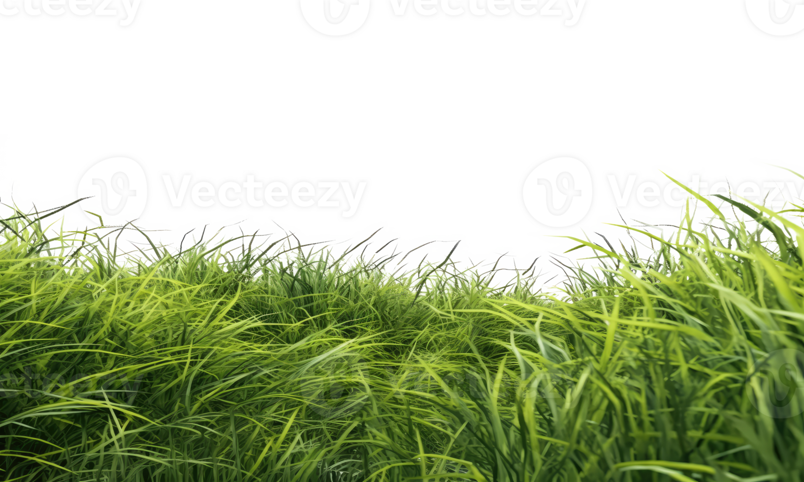 fresh spring green grass . AI Generated png