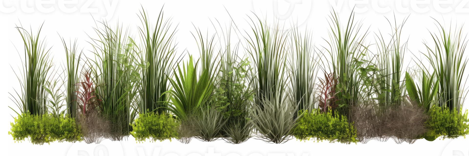 close-up of grass with flowers . AI Generated png