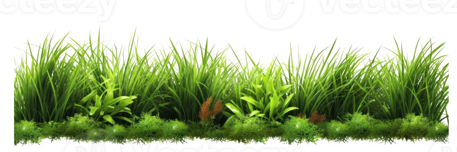 fresh spring green grass . AI Generated png