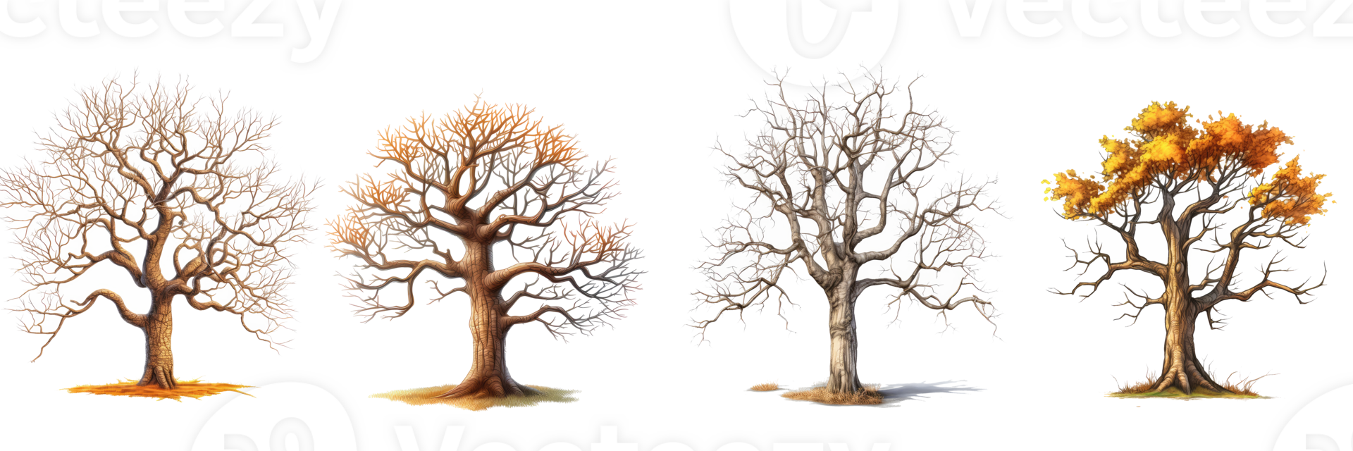 tree without leaves . AI Generated png