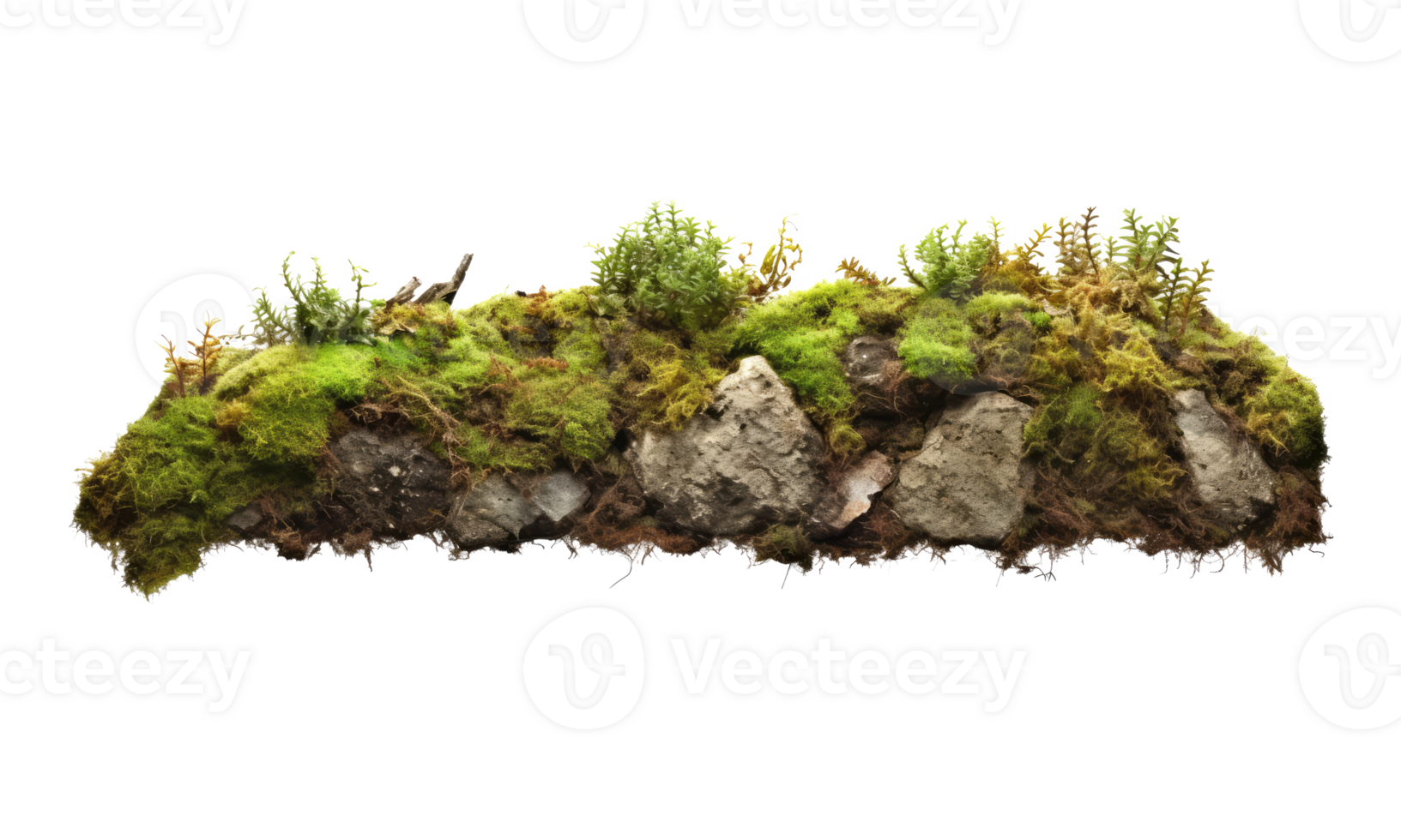Dark rocks partially covered with moss . AI Generated png