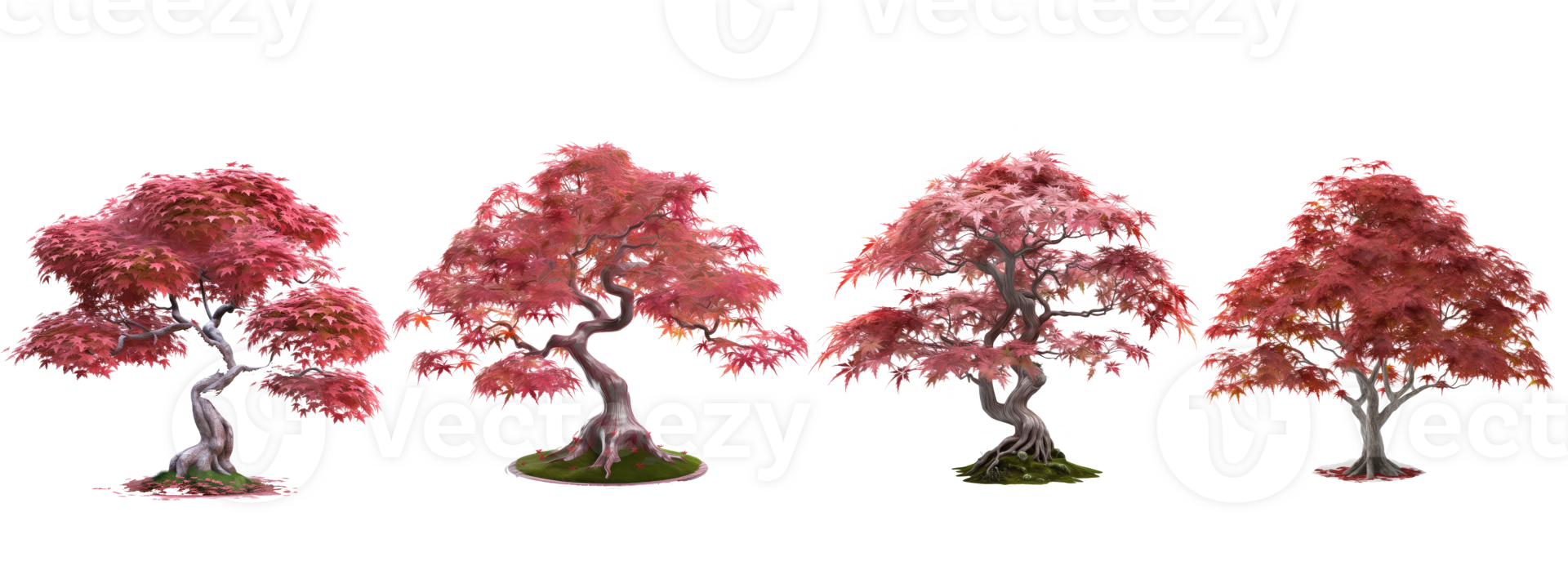 Japanese Maple Tree . AI Generated png