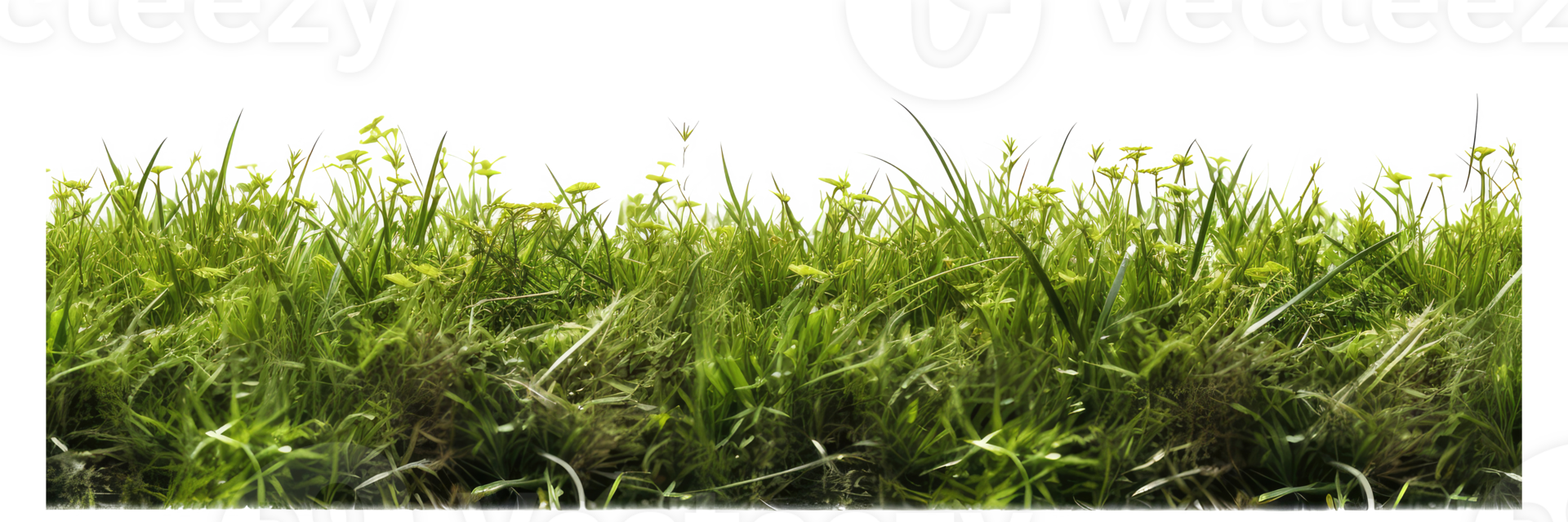 fresh spring green grass . AI Generated png