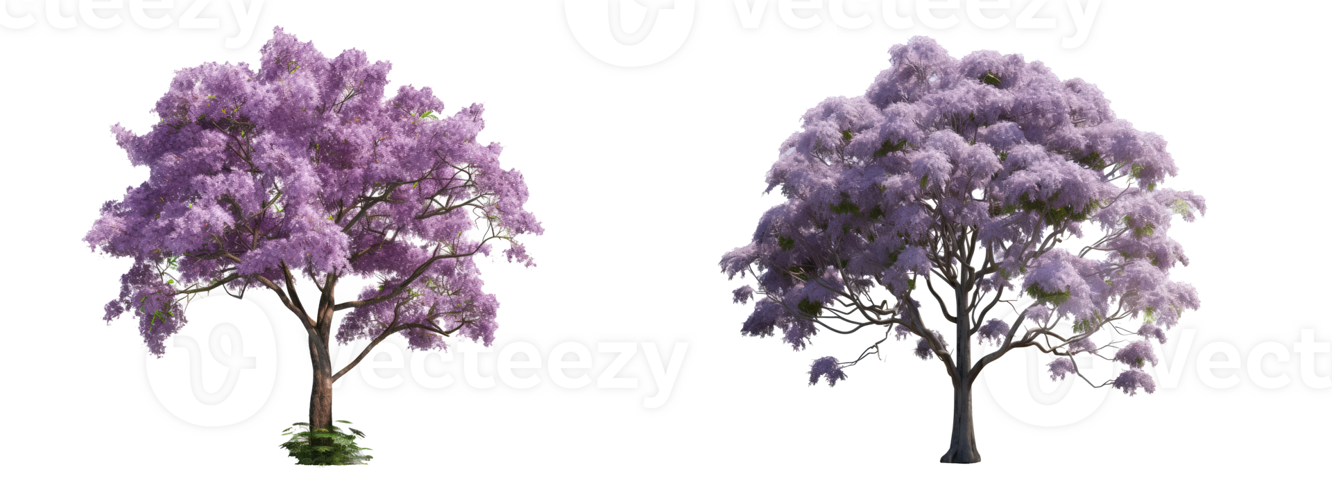 jacaranda tree . AI Generated png