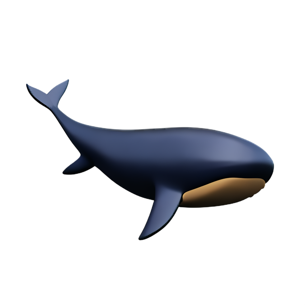 whale 3d rendering icon illustration png