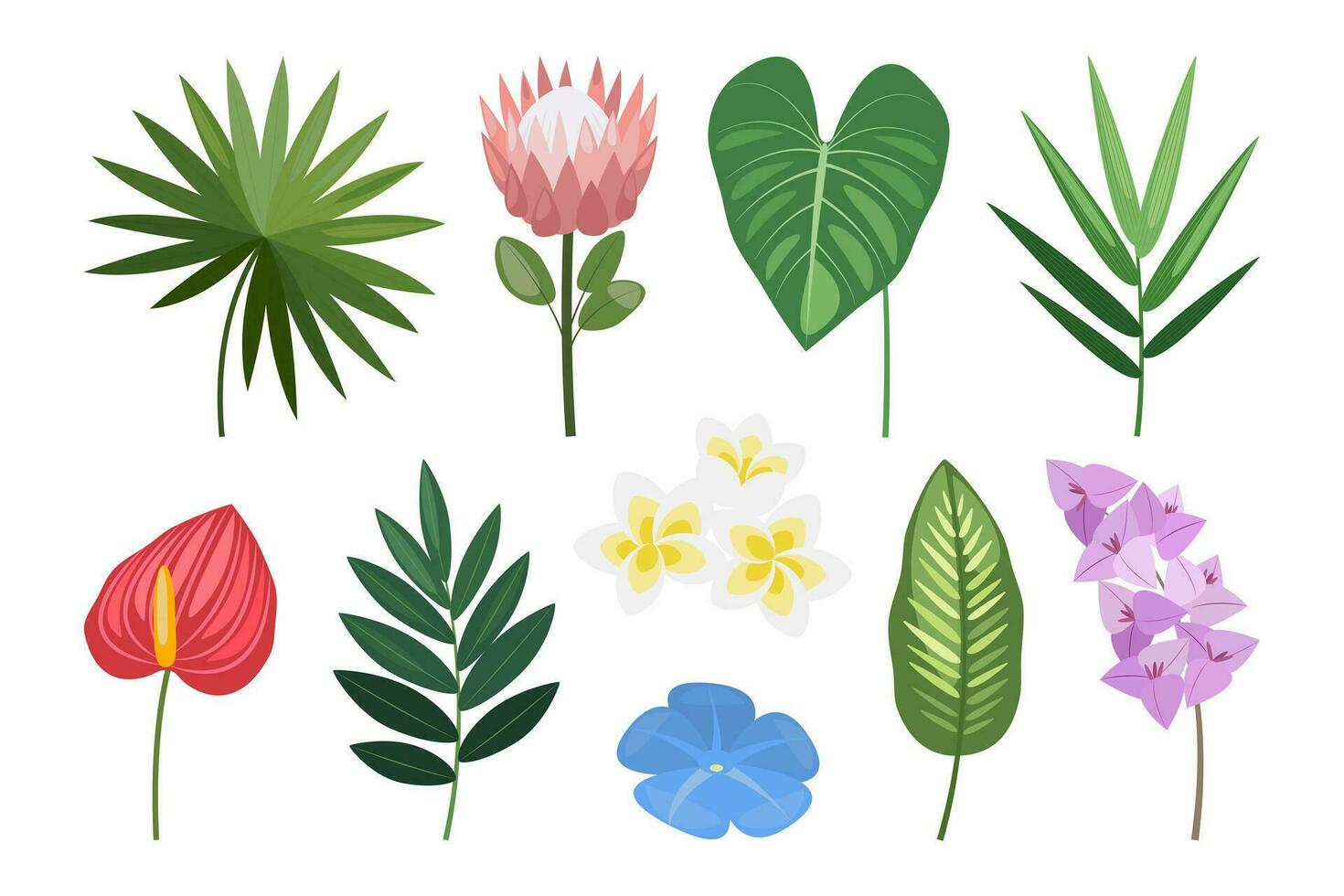 Tropical set of hand drawn flowers and leaves. Vector botanical illustration.