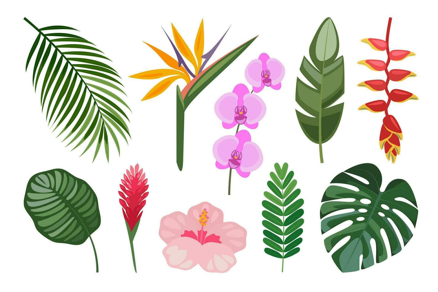 Tropical set of hand drawn flowers and leaves. Vector botanical illustration.