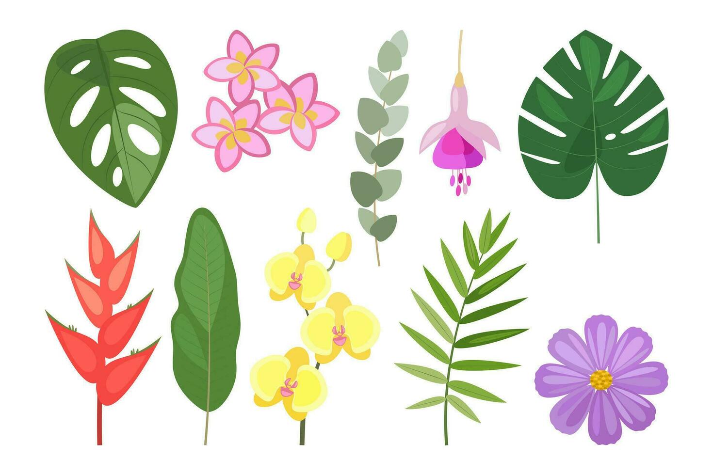 Tropical set of hand drawn flowers and leaves. Vector botanical illustration.