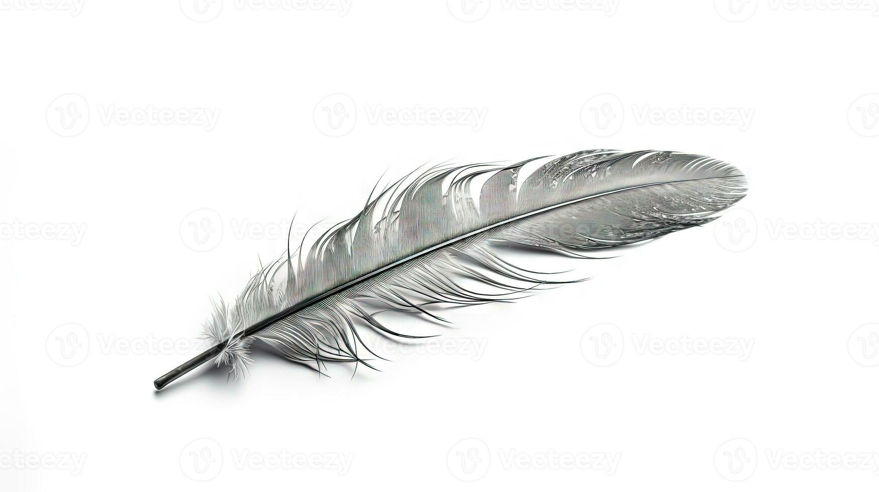 Bird feather on white background. Beautiful bird plumage or wing element, isolated smooth feather. Generated AI. photo