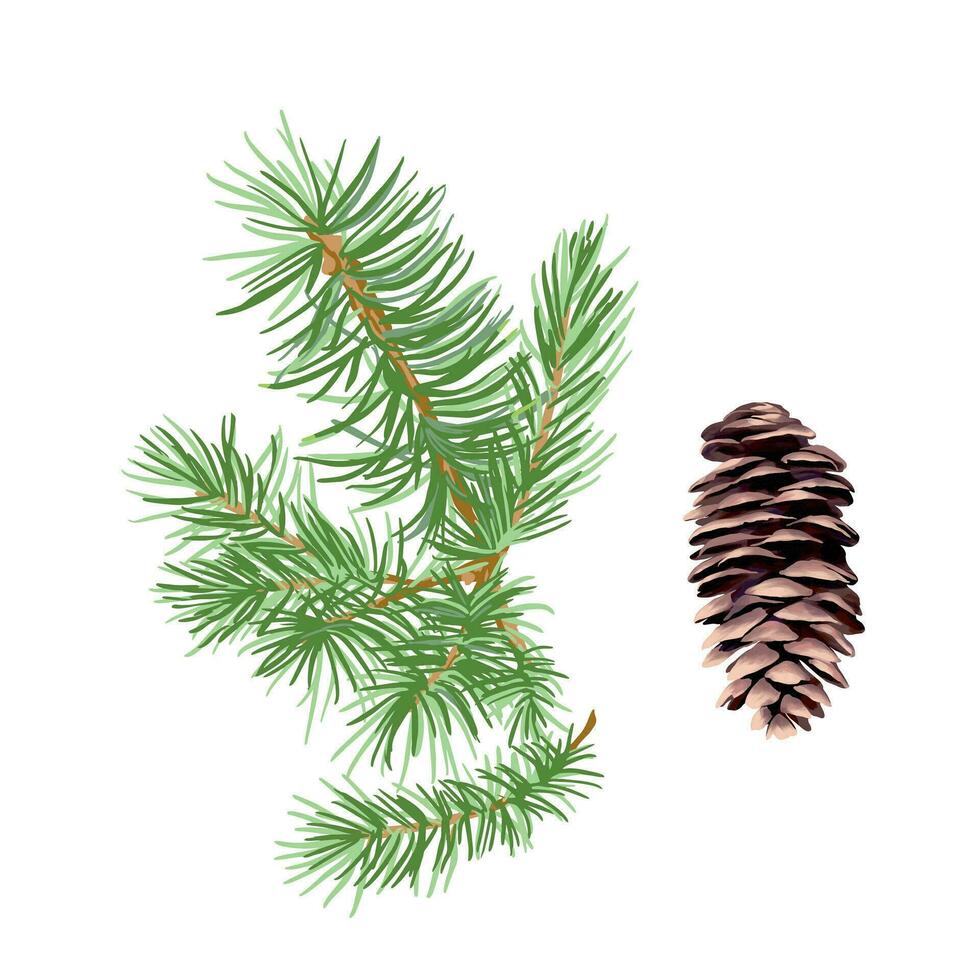 Spruce branch and cone. Vector illustration for New Year composition. Design element for greeting cards, Christmas invitations, themed banners, flyers.