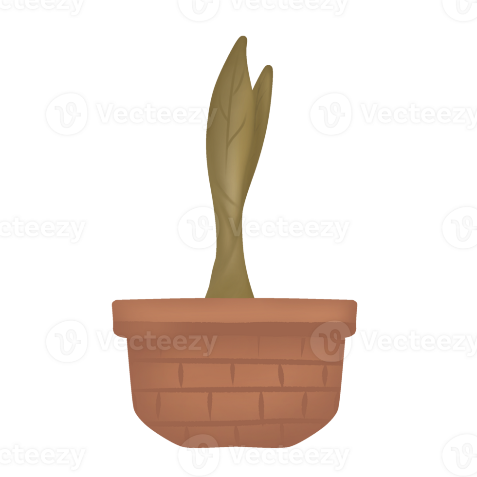 a plant on a pot png