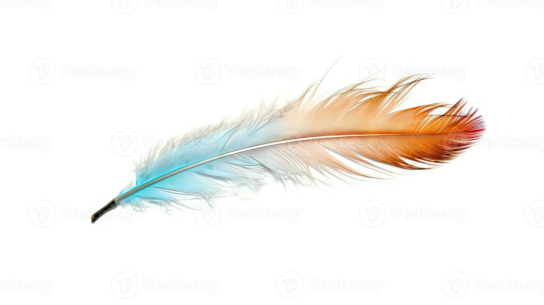 Bird feather on white background. Beautiful bird plumage or wing element, isolated smooth feather. Generated AI. photo