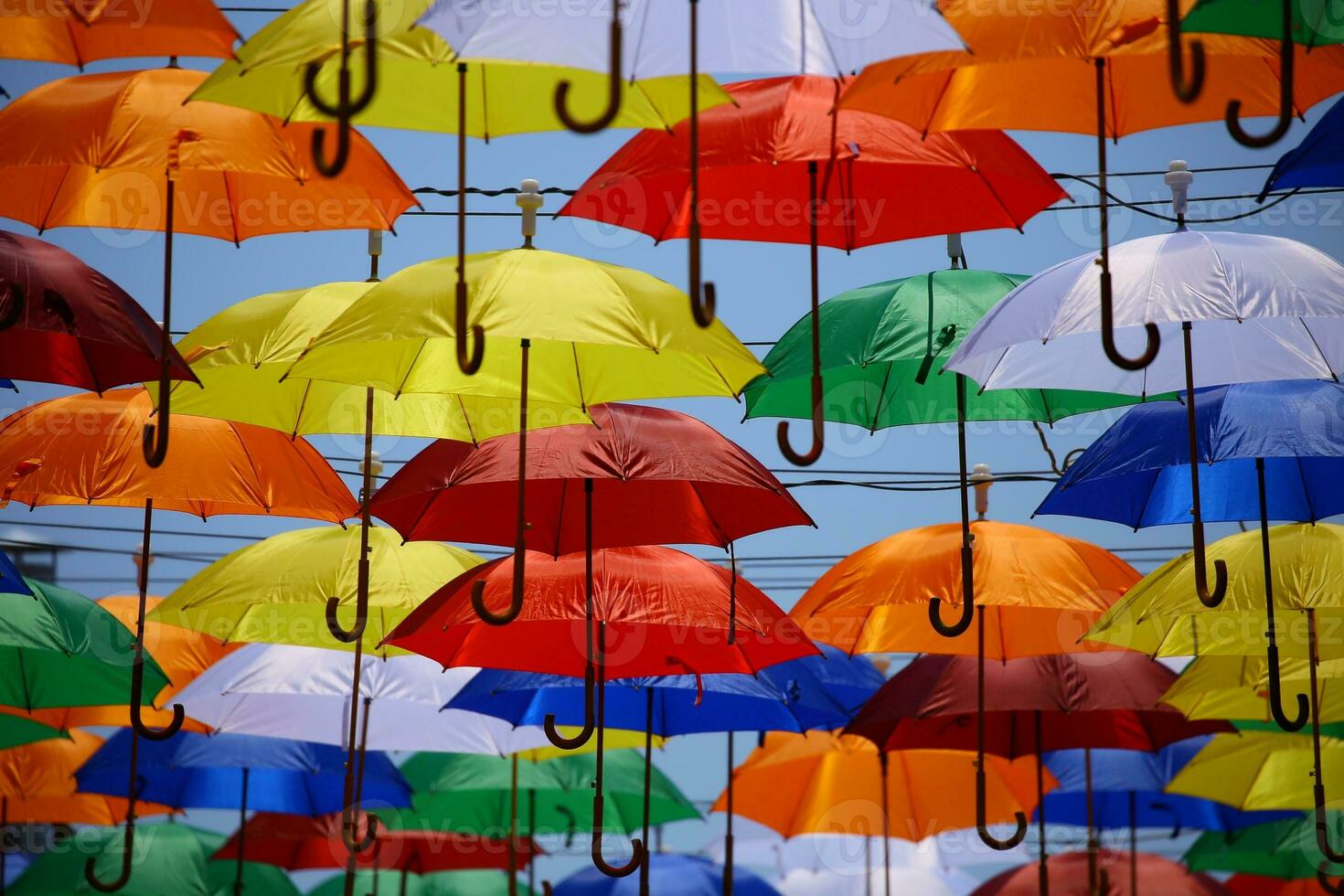 Assorted Colors of Hanging Opened Umbrellas photo