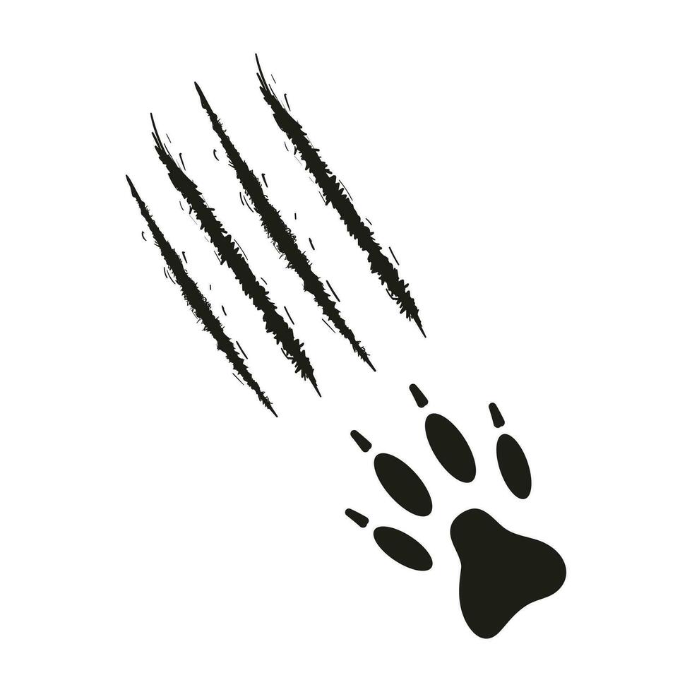 Paw print with claws of dog or wolf with traces of scratches. Black silhouette. Claw marks, cuts, wounds. Paw of wild animal, coyote, fox, tiger, lion, cat, puma, leopard cheetah jaguar Vector