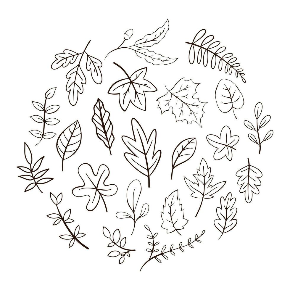 Hand Drawn Autumn Leaves Collection vector