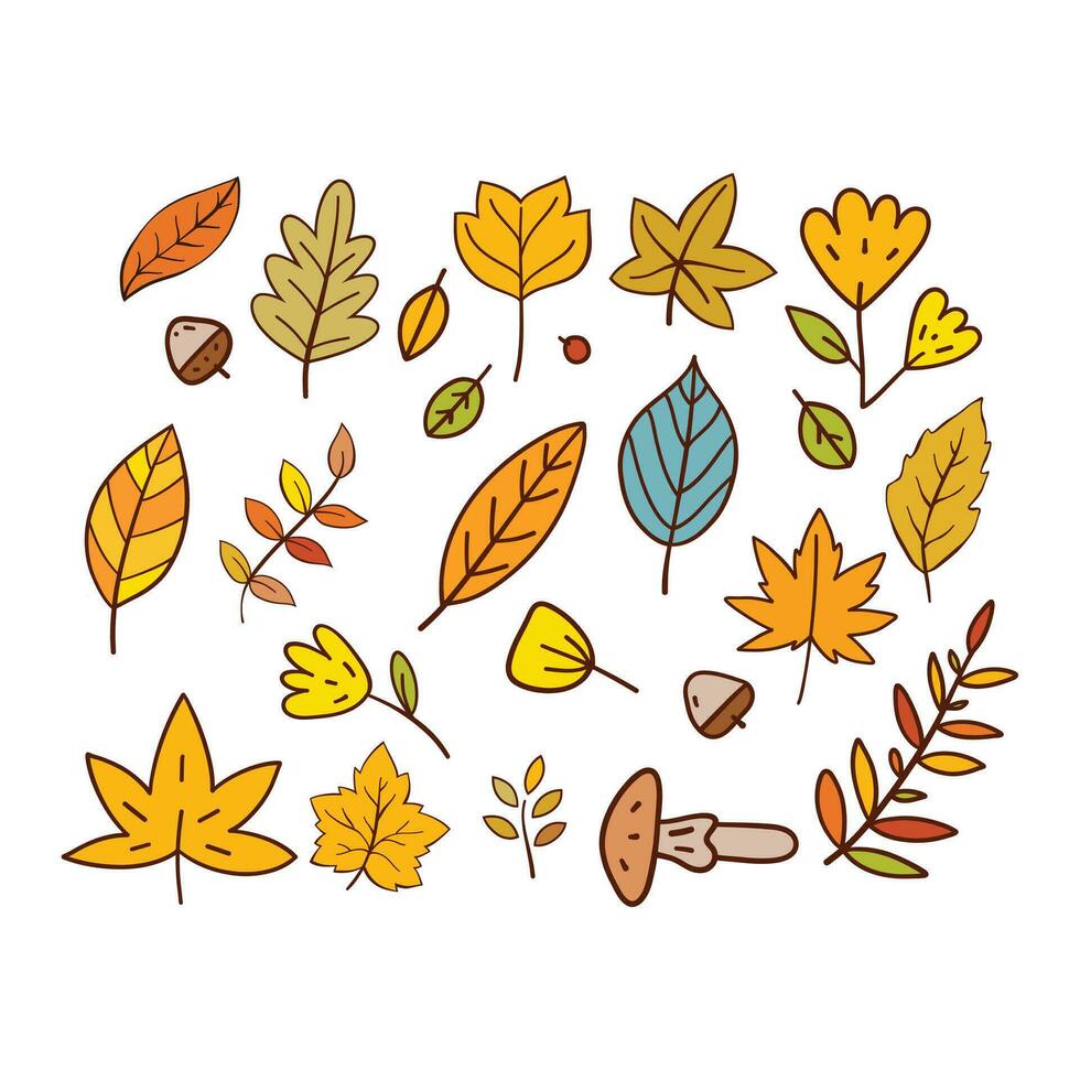 Hand Drawn Autumn Leaves Collection vector