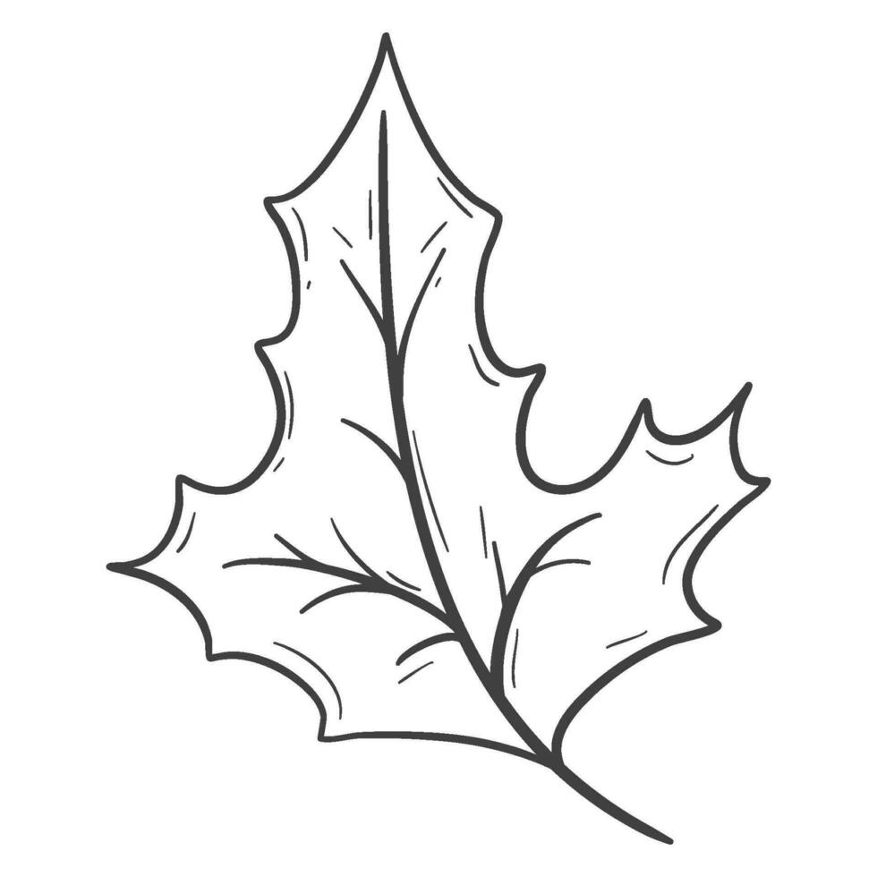 organic autumn leaf outline decoration vector