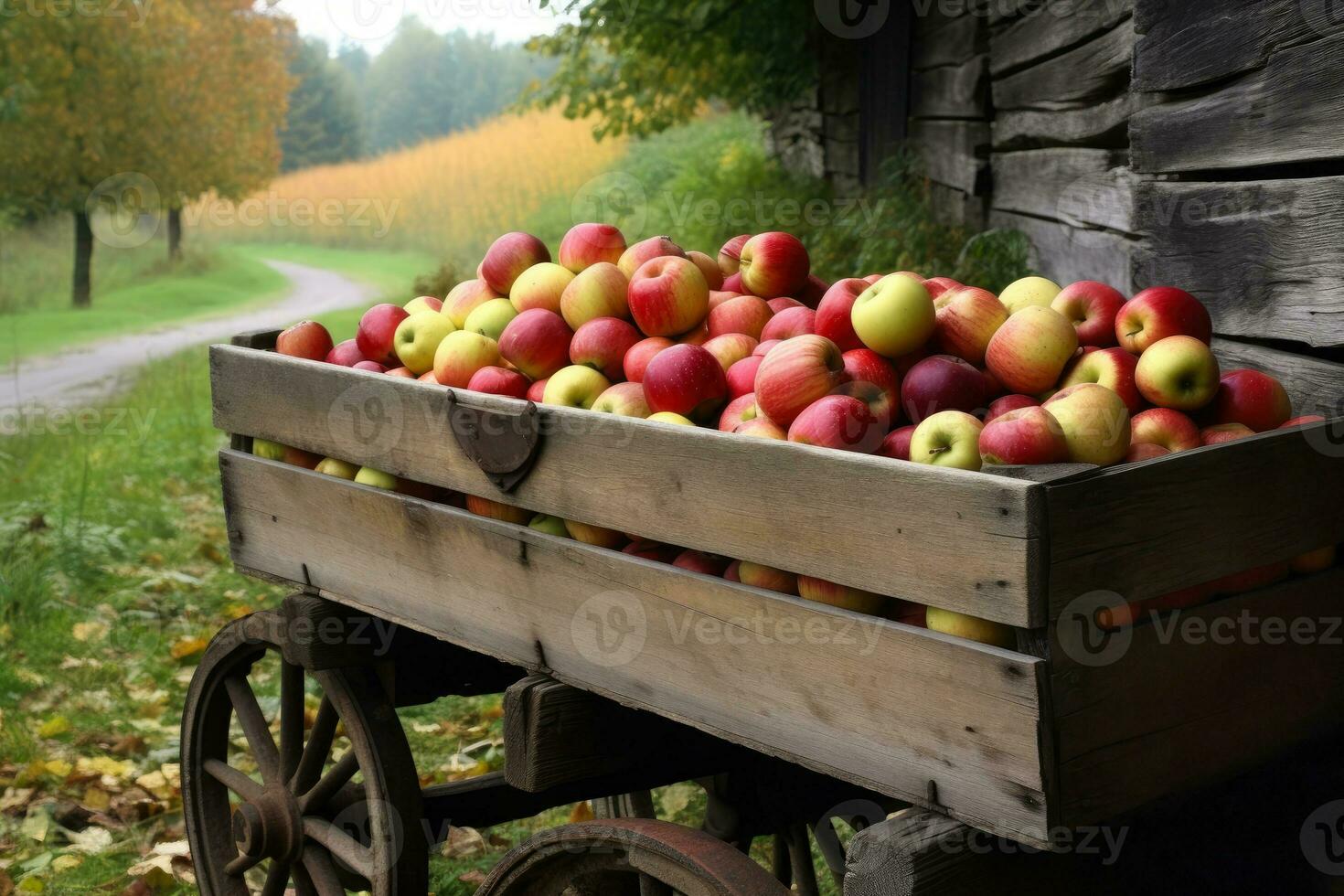 Wooden wagon full of ripe red apples. Countryside autumn landscape background. Gathering healthy fresh fruit harvest, preparation for sale at farmer's market. AI Generated photo