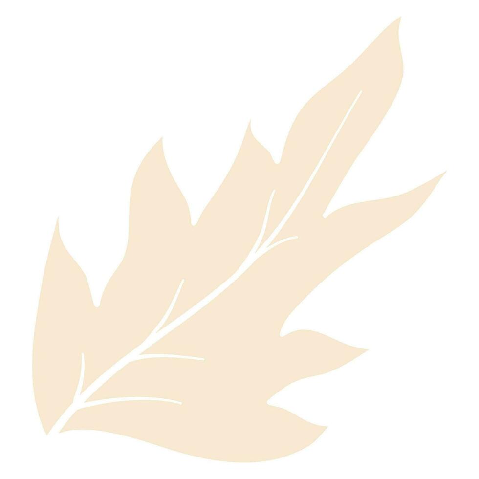 organic autumn leaf outline decoration vector