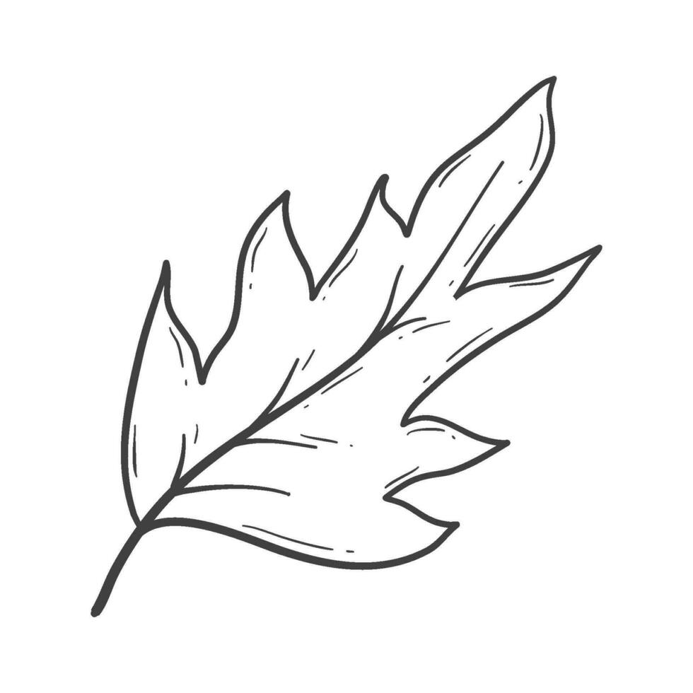 organic autumn leaf outline decoration vector
