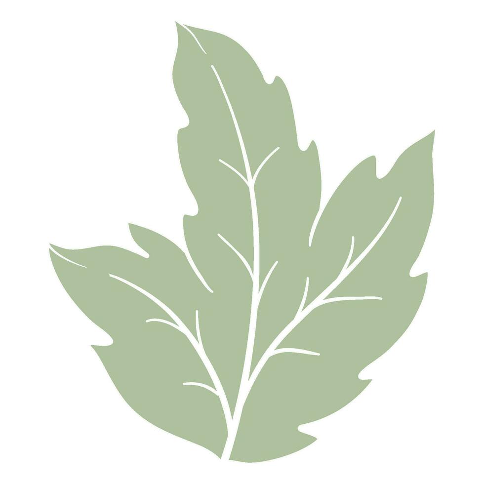 organic autumn leaf outline decoration vector