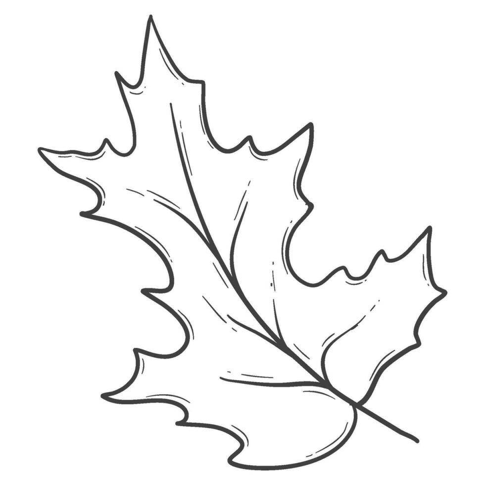 organic autumn leaf outline decoration vector