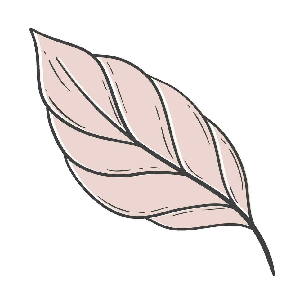 organic autumn leaf outline decoration vector