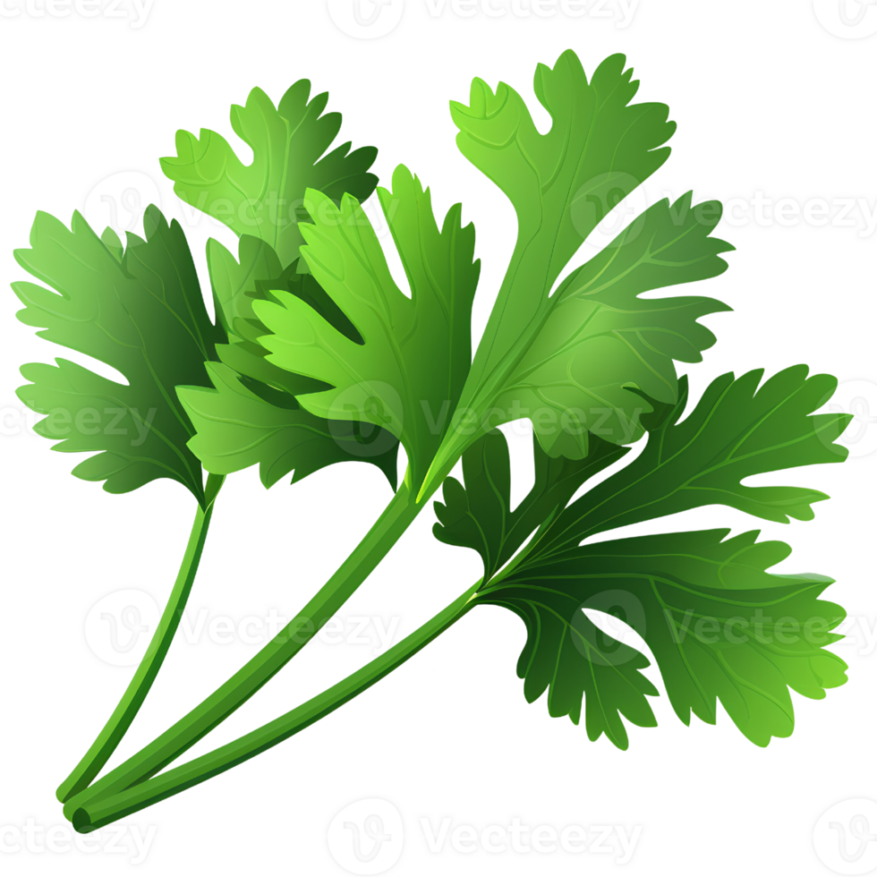 parsley vegetable ai generative png