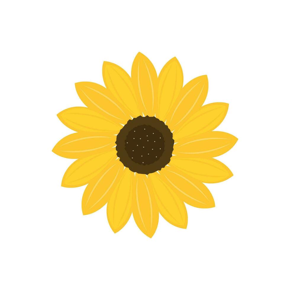 Sunflower icon in flat style. Flora vector illustration on isolated background. Sunflower sign business concept.