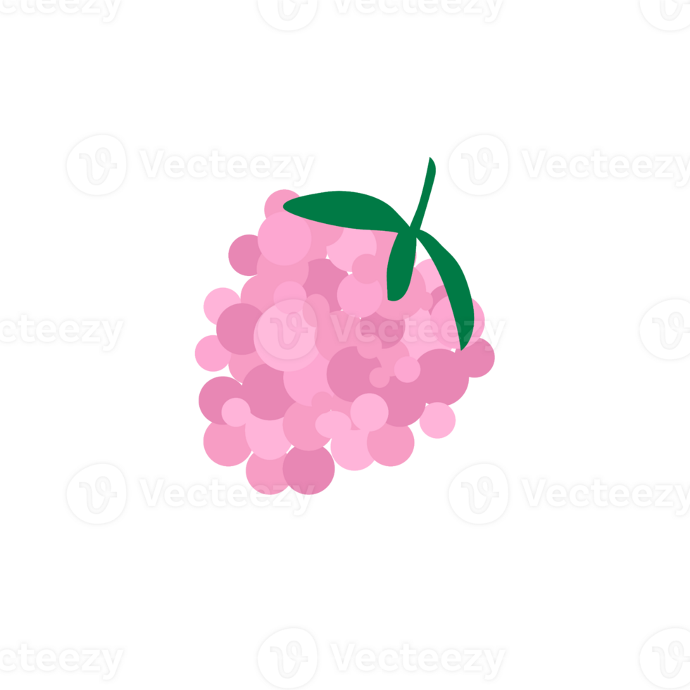 Grape, healthy, fresh fruit png
