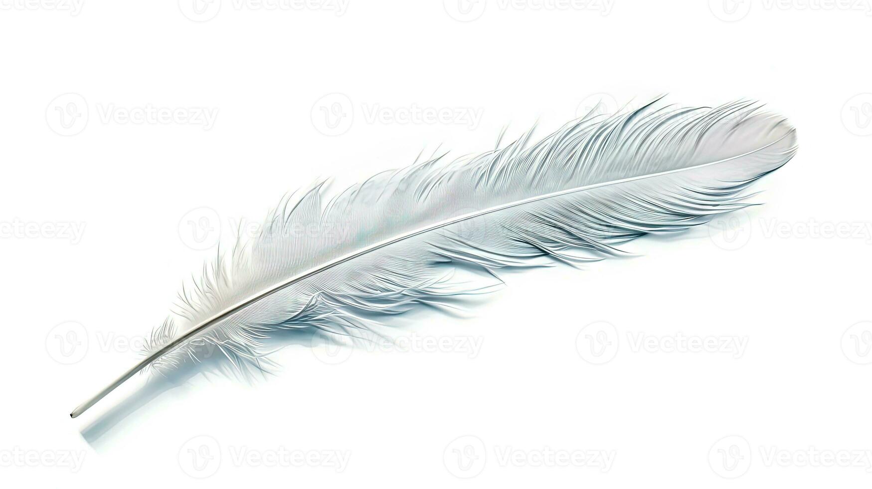 Bird feather on white background. Beautiful bird plumage or wing element, isolated smooth feather. Generated AI. photo