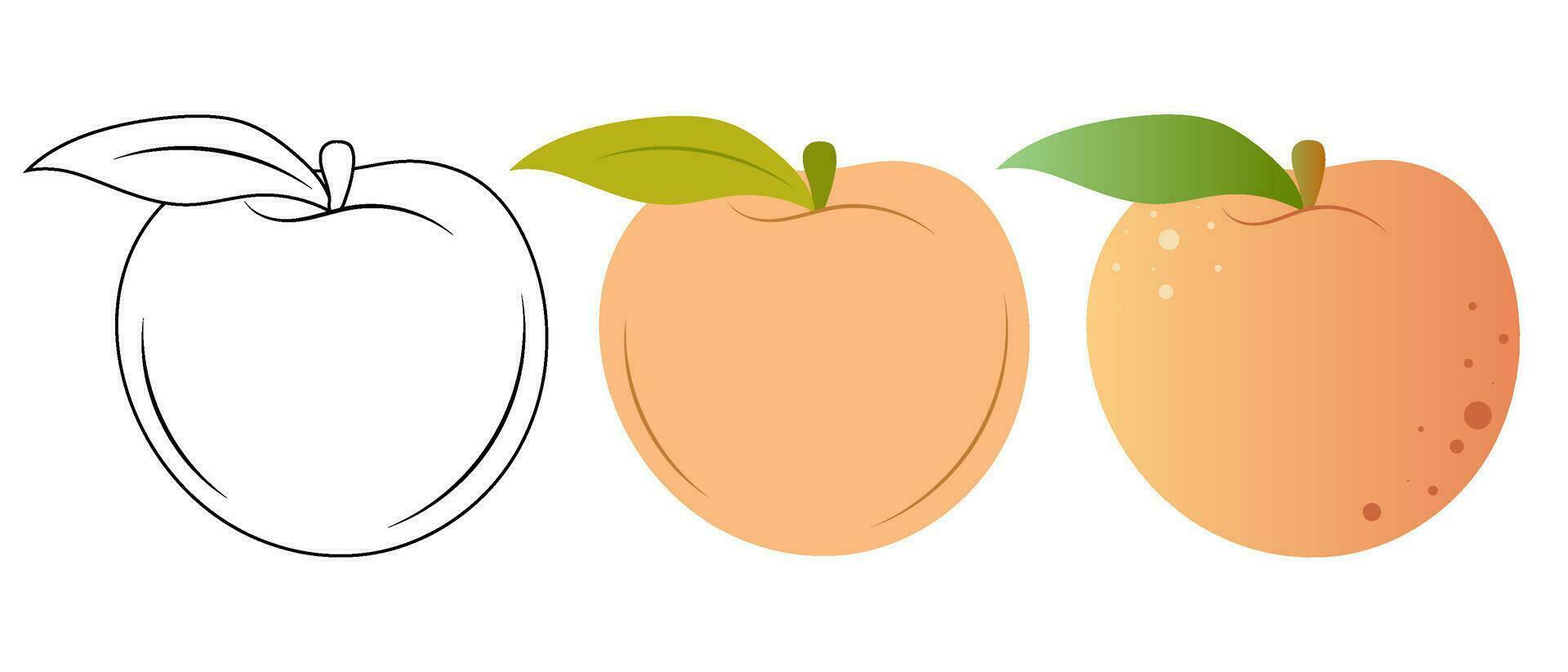 Set of vector illustrations of peach in flat, doodle and 3D styles on a white background.
