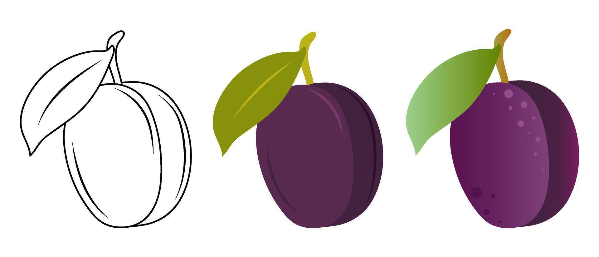 Set of vector illustrations of plum in flat, doodle and 3D styles on a white background.