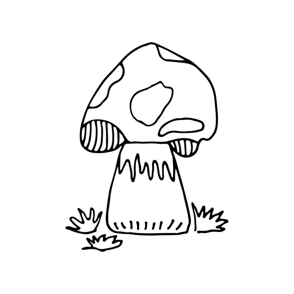 Mushrooms of wildlife, spore organism. Mycology. Plant.  Mystical mushrooms. Doodle. Hand drawn. Vector illustration. Outline.