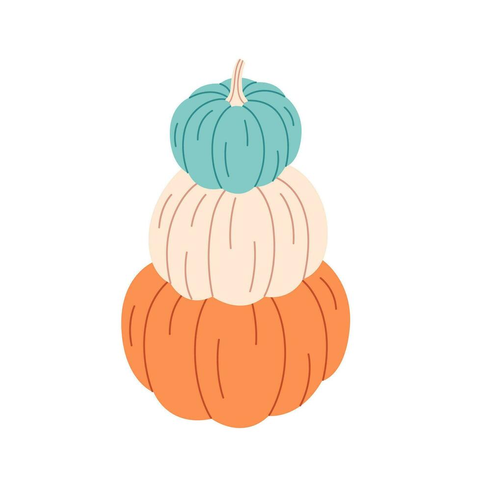 Cute colorful pumpkins. Autumn harvest, hello autumn. Halloween pumpkin. Thanksgiving Day. vector