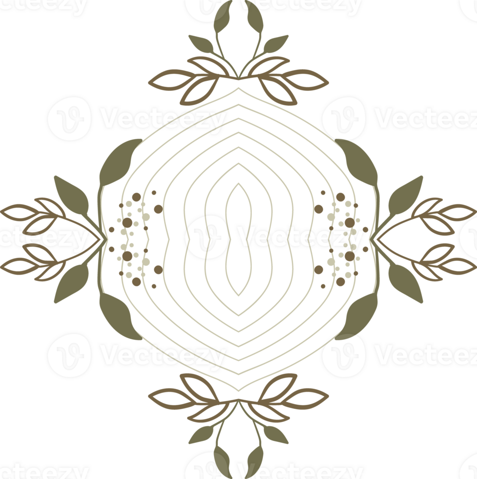 floral and line decoration png