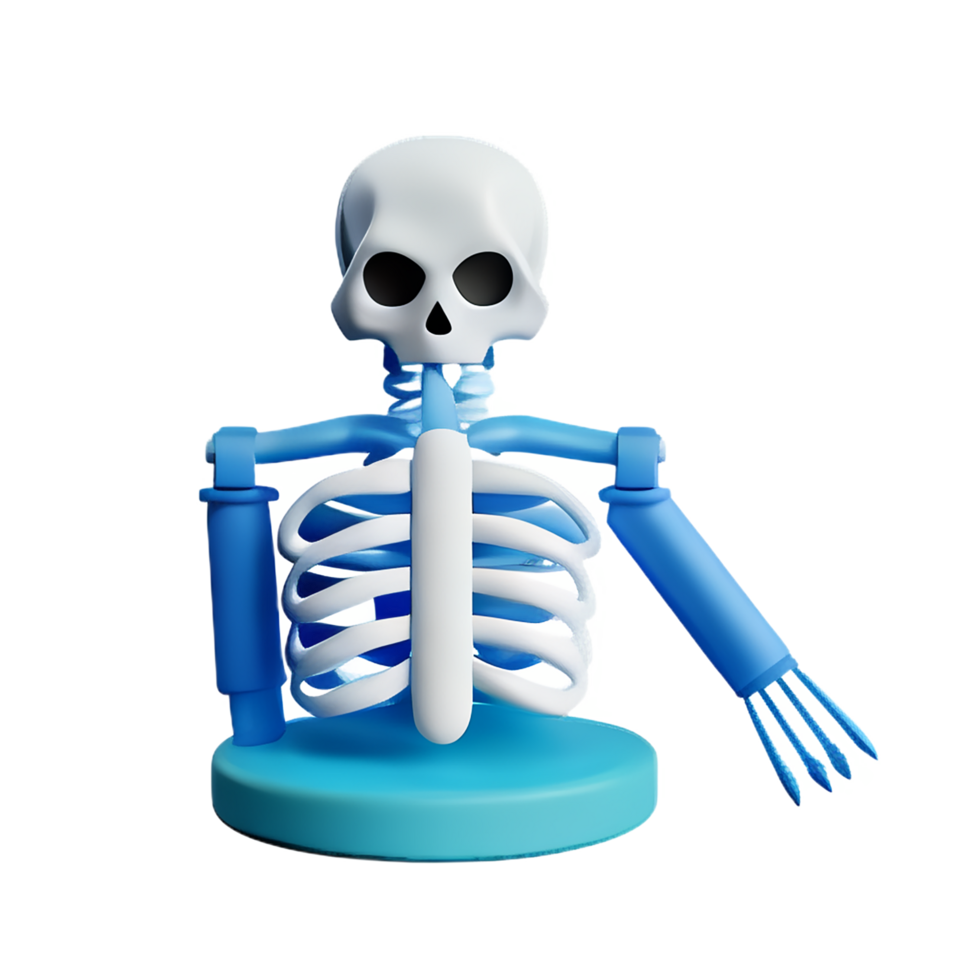 skeleton 3d rendering icon illustration png