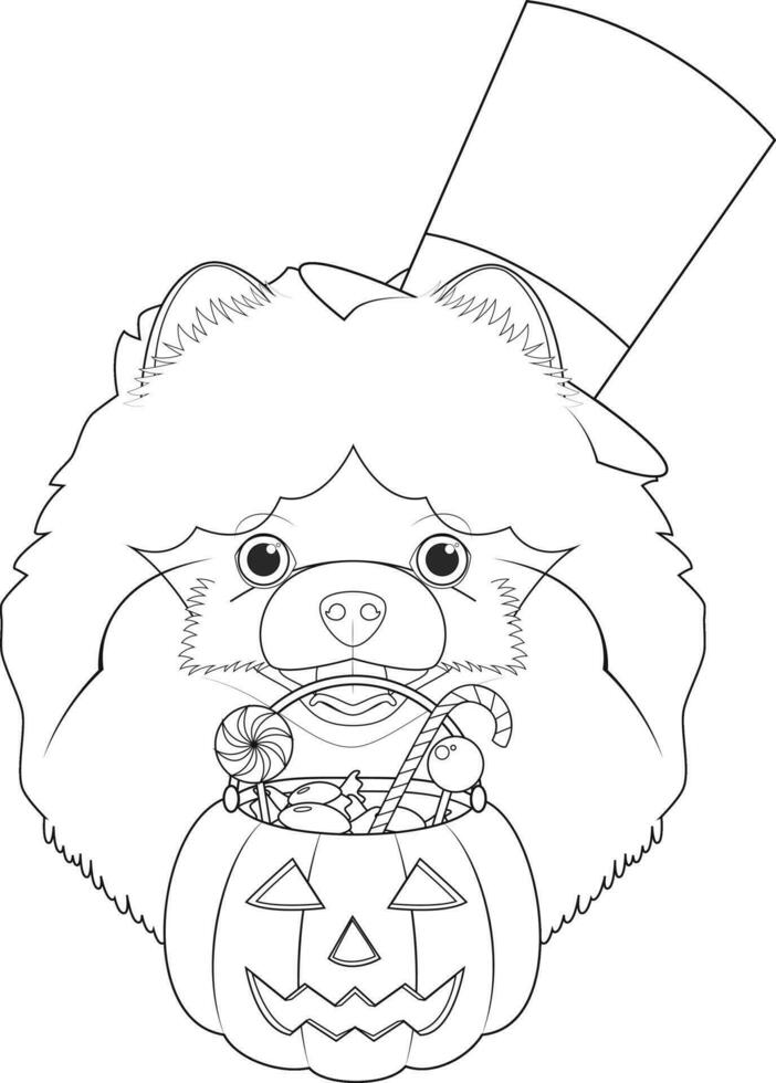 Halloween greeting card for coloring. Pomeranian dog with top hat, mask and a pumpkin with candies in the mouth vector