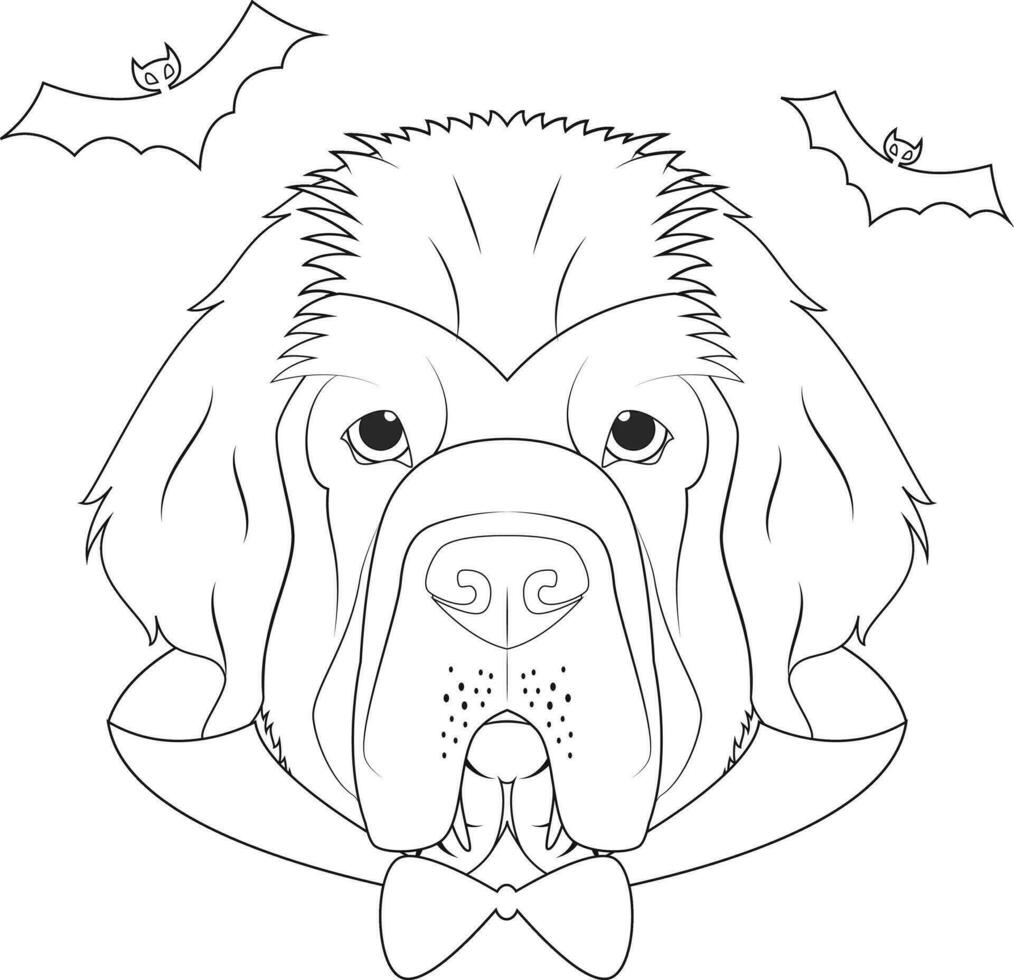 Halloween greeting card for coloring. Newfoundland dog dressed as a vampire with fangs and cape, and a pair of bats flying around vector